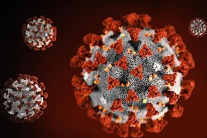 Không chỉ tổn hại phổi, SARS-CoV-2 còn "tấn công" nội mạc mạch máu