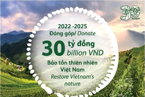 30 năm chặng đường phát triển của HEINEKEN Việt Nam