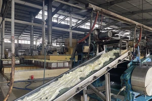 Nhà máy sản xuất của Công ty cổ phần Cao su Phước Hoà cho ra sản phẩm đạt chất lượng tốt