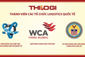 Thilogi hiện là thành viên của các tổ chức logistics quốc tế