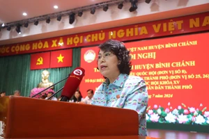 Cử tri huyện Bình Chánh đề nghị giải quyết dứt điểm Dự án Sing - Việt