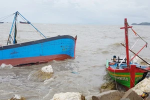 Hàng chục tàu cá bị bão đánh chìm tại cảng Hòn La (Quảng Bình).