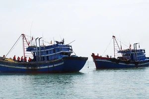 Thí điểm đưa doanh nghiệp, ngư dân đi khai thác hải sản ở vùng biển một số nước