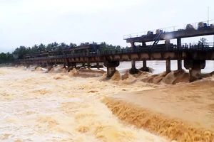 Lũ cuồn cuộn trên sông tại huyện Hoài Nhơn. Ảnh: QUANG HẢI