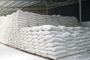 Xuất cấp không thu tiền hơn 4.300 tấn gạo cho 3 tỉnh bị thiên tai, mưa lũ ​