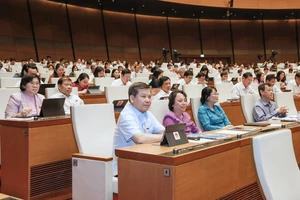Đoàn đại biểu Quốc hội TPHCM dự họp tại Hội trường Diên Hồng sáng 24-5. Ảnh: QUANG PHÚC
