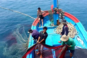 Thủ tướng yêu cầu tập trung thực hiện các nhiệm vụ, giải pháp chống khai thác hải sản bất hợp pháp