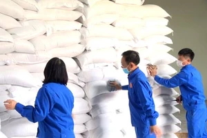 Chính phủ xuất cấp gạo cho người dân trong dịp Tết Nguyên đán và giáp hạt năm 2024