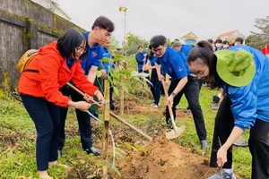Thủ tướng chỉ thị tổ chức Tết trồng cây
