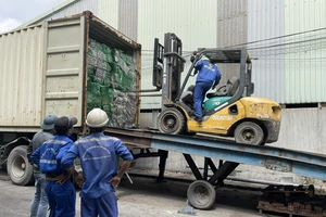 TPHCM bắt đầu tiêu hủy hàng trăm container phế liệu