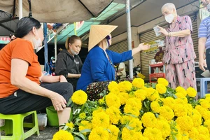 Hoa vạn thọ bán tại chợ Nguyễn Văn Trỗi, quận Phú Nhuận trưa 13-1
