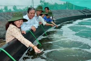 Chủ tịch HĐND TPHCM Nguyễn Thị Lệ tìm hiểu mô hình nuôi tôm ở Cần Giờ. Ảnh: VIỆT DŨNG