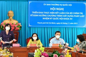 Phó Trưởng đoàn chuyên trách Đoàn ĐBQH TPHCM Văn Thị Bạch Tuyết phát biểu tham luận tại hội nghị. Ảnh: VIỆT DŨNG