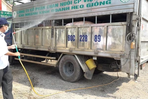 Xịt khử trùng xe chở heo tại Đồng Nai