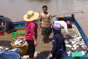 Công an tỉnh Đồng Nai vào cuộc điều tra vụ hơn 300 tấn cá bè chết