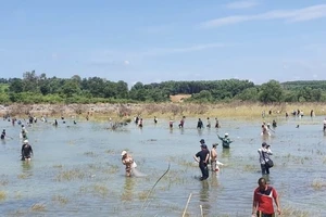 Hàng trăm người đổ xô bắt cá ở đập thủy điện Trị An