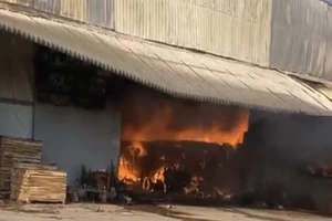  Cháy lớn ở công ty gỗ, thiêu rụi hàng ngàn mét vuông nhà xưởng