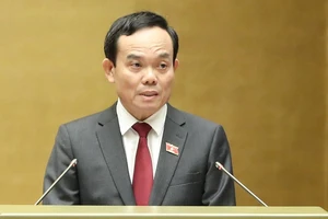 Phó Thủ tướng Chính phủ Trần Lưu Quang. Ảnh: QUANG PHÚC