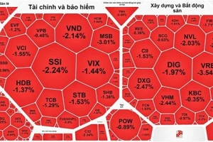 Chứng khoán rực đỏ trong phiên giao dịch 7-11