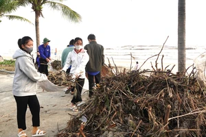 2.000 thanh niên Đà Nẵng dọn rác bãi biển sau mưa lũ