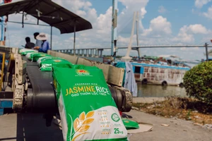 Gạo Jasmine được xuất khẩu sang thị trường châu Âu