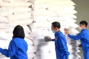Cấp gần 13.000 tấn gạo hỗ trợ người dân dịp Tết Nguyên đán