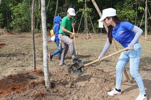 Huyện Củ Chi trồng 160.000 cây xanh kỷ niệm Ngày sinh Chủ tịch Hồ Chí Minh