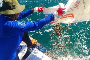 Trao quyền “nuôi biển” cho ngư dân
