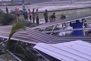Hỗ trợ người dân khắc phục hậu quả do lốc xoáy ở Tiền Giang