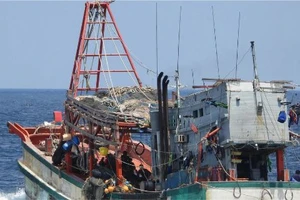 Tạm thu hồi giấy phép 190 tàu cá có nguy cơ vi phạm quy định IUU