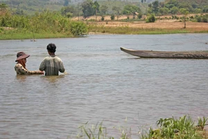 Một đoạn sông Krông Nô: Ảnh minh họa