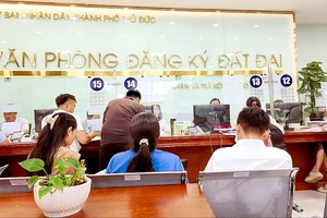 Hối hả hoàn thiện thủ tục đất đai