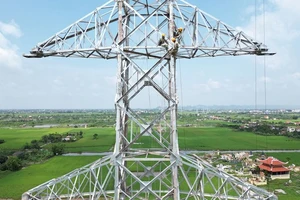 Triển khai Dự án đường dây 500kV mạch 3 từ Quảng Trạch đến Phố Nối