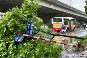 Hà Nội oằn mình trước bão số 3, thiệt hại nhiều nơi