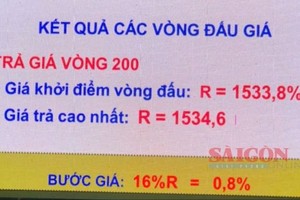 Một mỏ cát được chốt 370 tỷ đồng, tăng 1.534,6% giá khởi điểm sau 200 vòng đấu giá