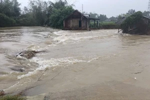 Quảng Ngãi: Lũ trên sông Trà Câu đang lên mức báo động 3