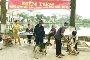 Owners of dogs and cats not follow regulations to receive fine