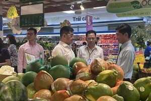 500 Vietnamese OCOP agricultural products honored