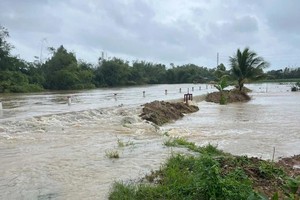 Tra Cau River floods surpass danger level, evacuations imminent