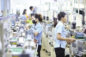 German businesses step up investment into HCMC