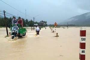 Many households in Binh Dinh isolated due to downpour-triggered waterlogging