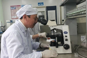 TS. Hoàng Minh Châu tại phòng nghiên cứu 