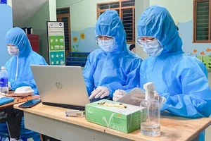 Sinh viên Trường Đại học Nguyễn Tất Thành hỗ trợ lực lượng y tế nhập dữ liệu tại quận Gò Vấp