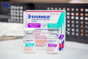 Mở cổng đăng ký tiêm kháng thể đơn dòng Evusheld ngừa Covid-19