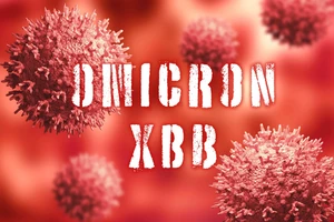 TPHCM xuất hiện biến thể phụ XBB của chủng Omicron