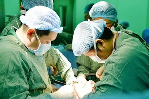 Lĩnh vực ghép tủy xương - tế bào gốc tại Việt Nam đã phát triển mạnh
