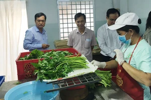 Kiểm tra tại một cơ sở đóng gói rau muống sản xuất theo tiêu chuẩn VietGAP
