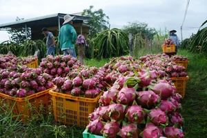 Nhật dự kiến kiểm tra 100% đối với nông sản Việt do dư lượng thuốc bảo vệ thực vật