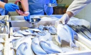 Trung Quốc phát hiện 47 mẫu thủy sản nhập khẩu có nhiễm virus Corona