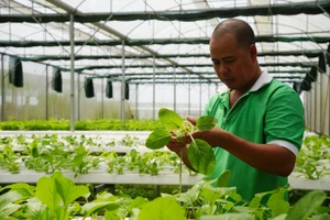Nông dân “ngại” dùng thuốc bảo vệ thực vật sinh học do giá thành cao